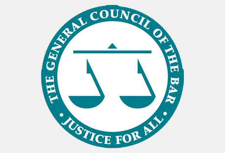 McKenzie Friends – Bar Council speaks out