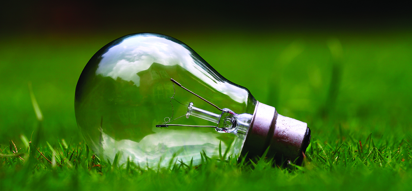 Intellectual Property Law