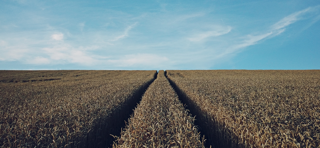 Land Law