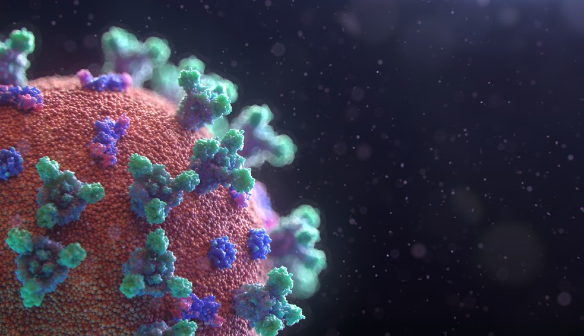 AllAboutLaw Blog: Coronavirus, the Uncensored Library and more