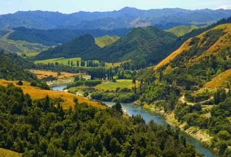 New Zealand grants 'person' status to a river