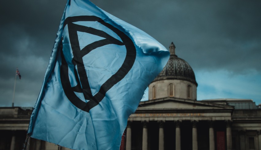AllAboutLaw Blog: Extinction Rebellion, the Ivory Act and more