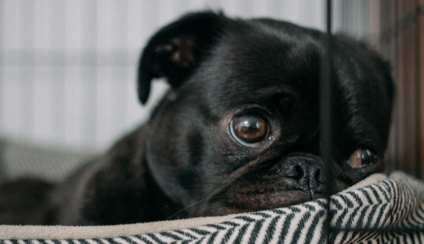 Law students: three real-talk tips for managing your mental health