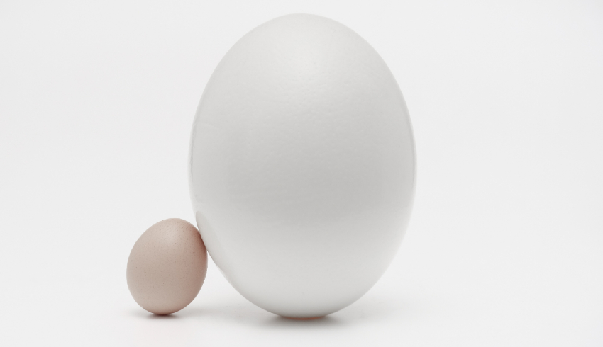 Why small is beautiful: making the case for smaller firms