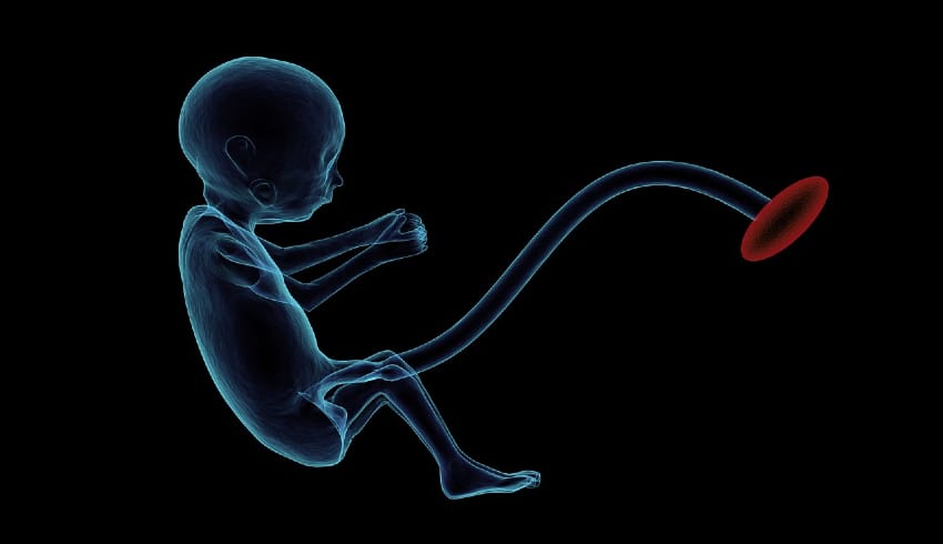 Defining Foetal Rights