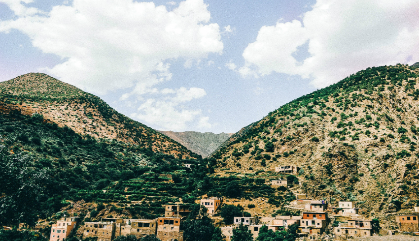 White & Case: life in the Middle East