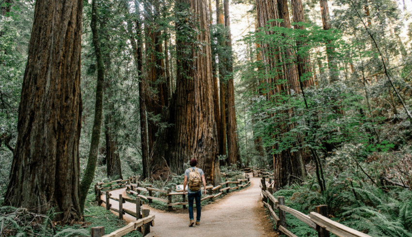 Moving into law: typical career paths