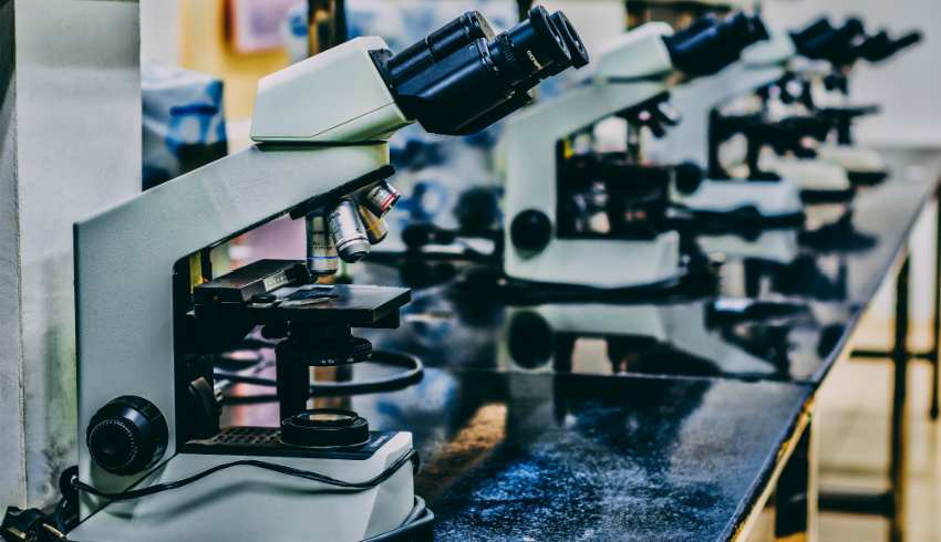 Pursuing a Career in Law With a Science Background