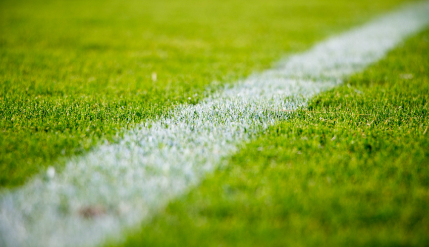 Sports and media law